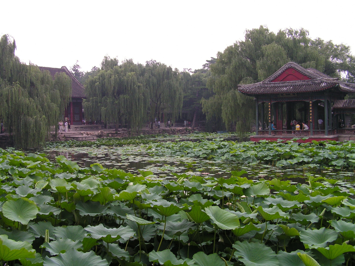 Beijing_20060724_018.jpg